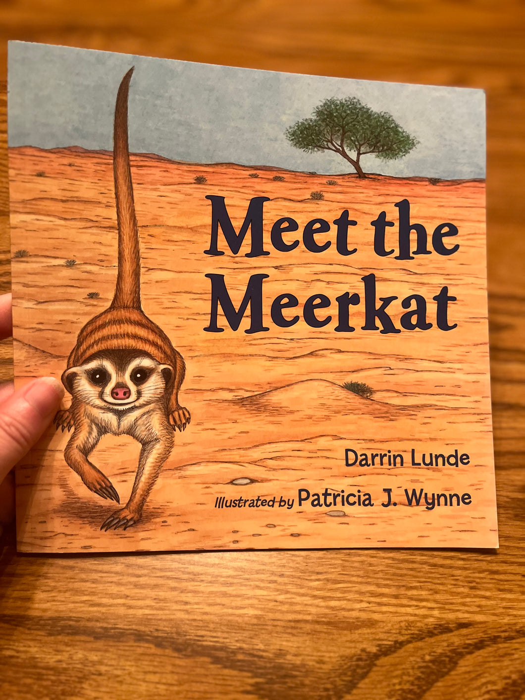 Meet the Meerkat