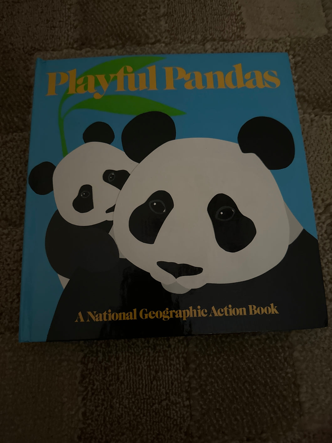 Pop up Panda book Playful Panda