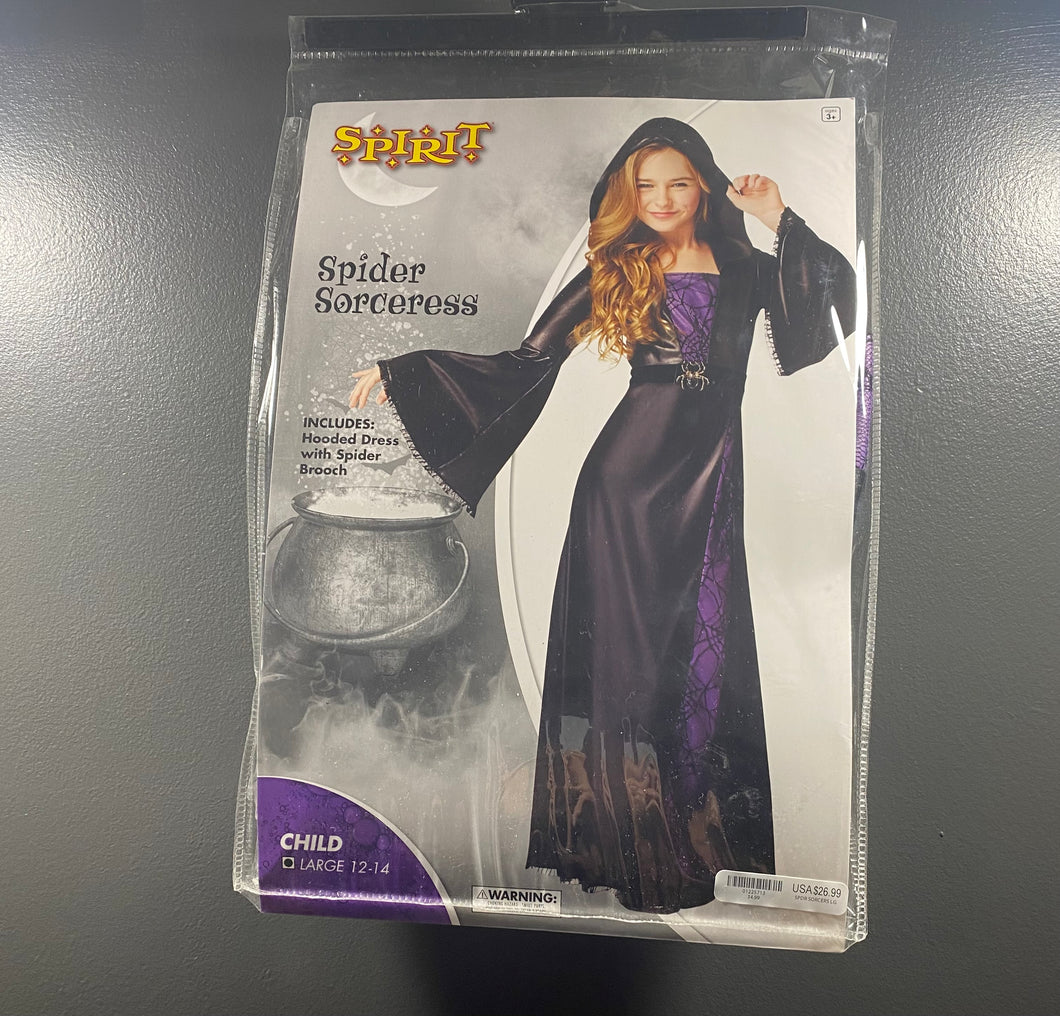 Spirit Halloween Costume Spider Sorceress - size Kids 12