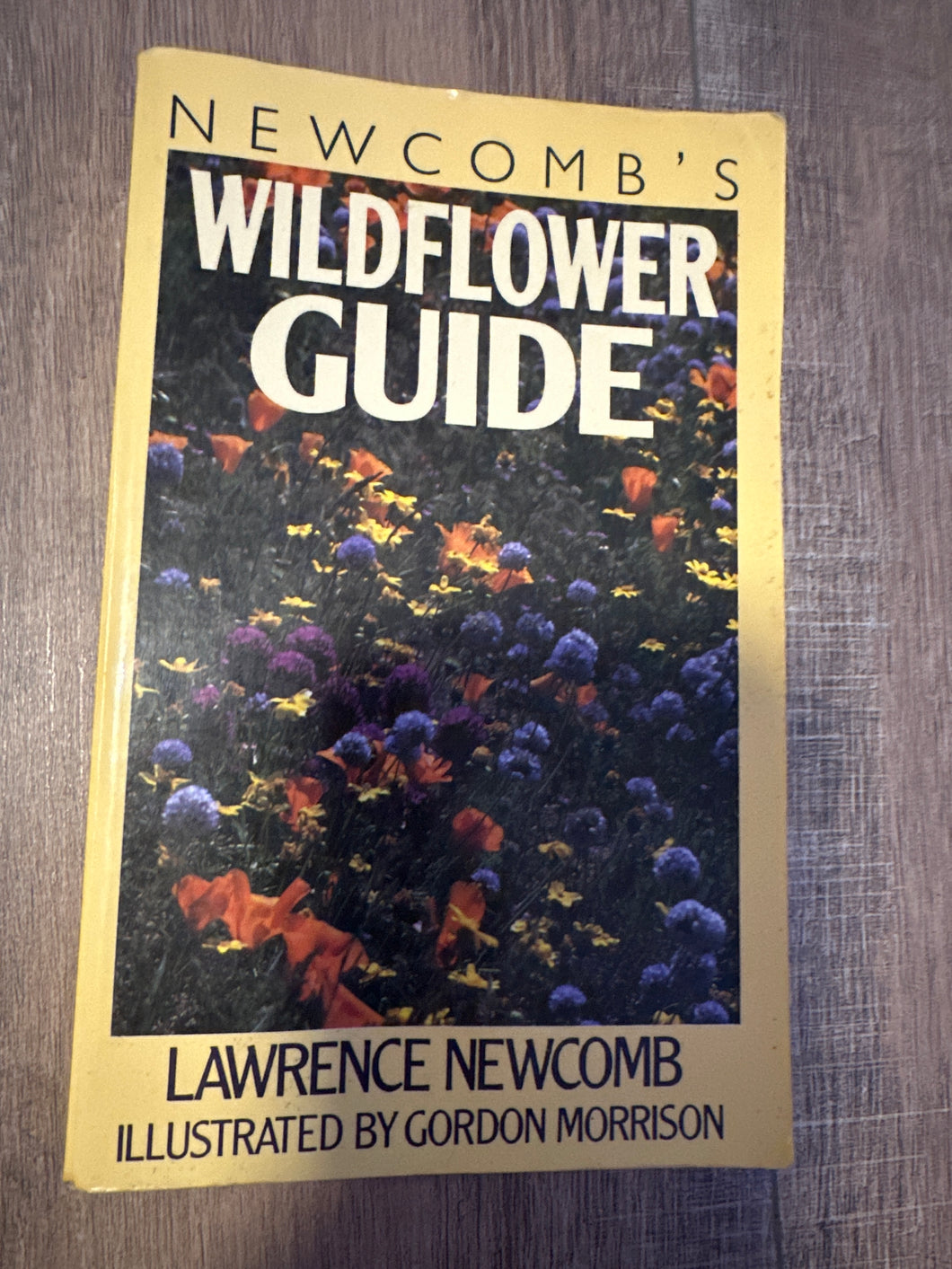 Newcomb's wildflower Guide