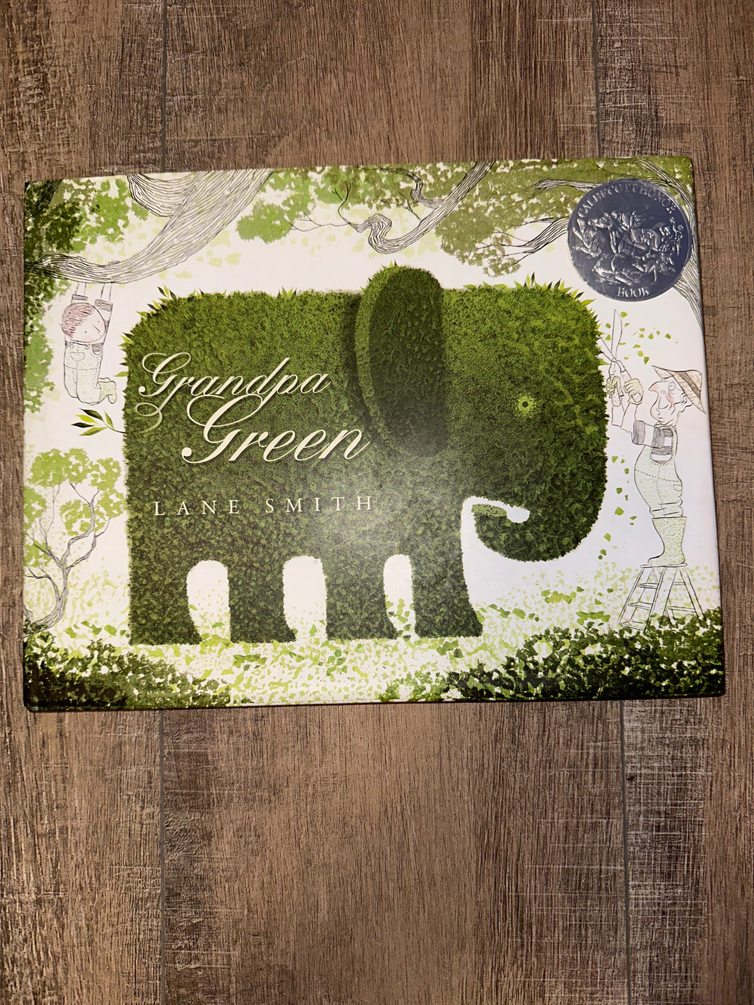 Grandpa Green Hardcover