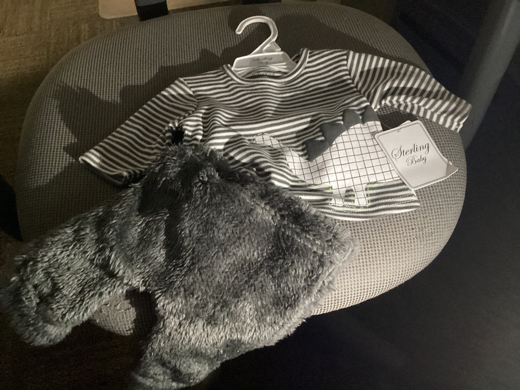 Sterling Baby NWT 2 pc Grey outfit fuzzy pants - size Newborn