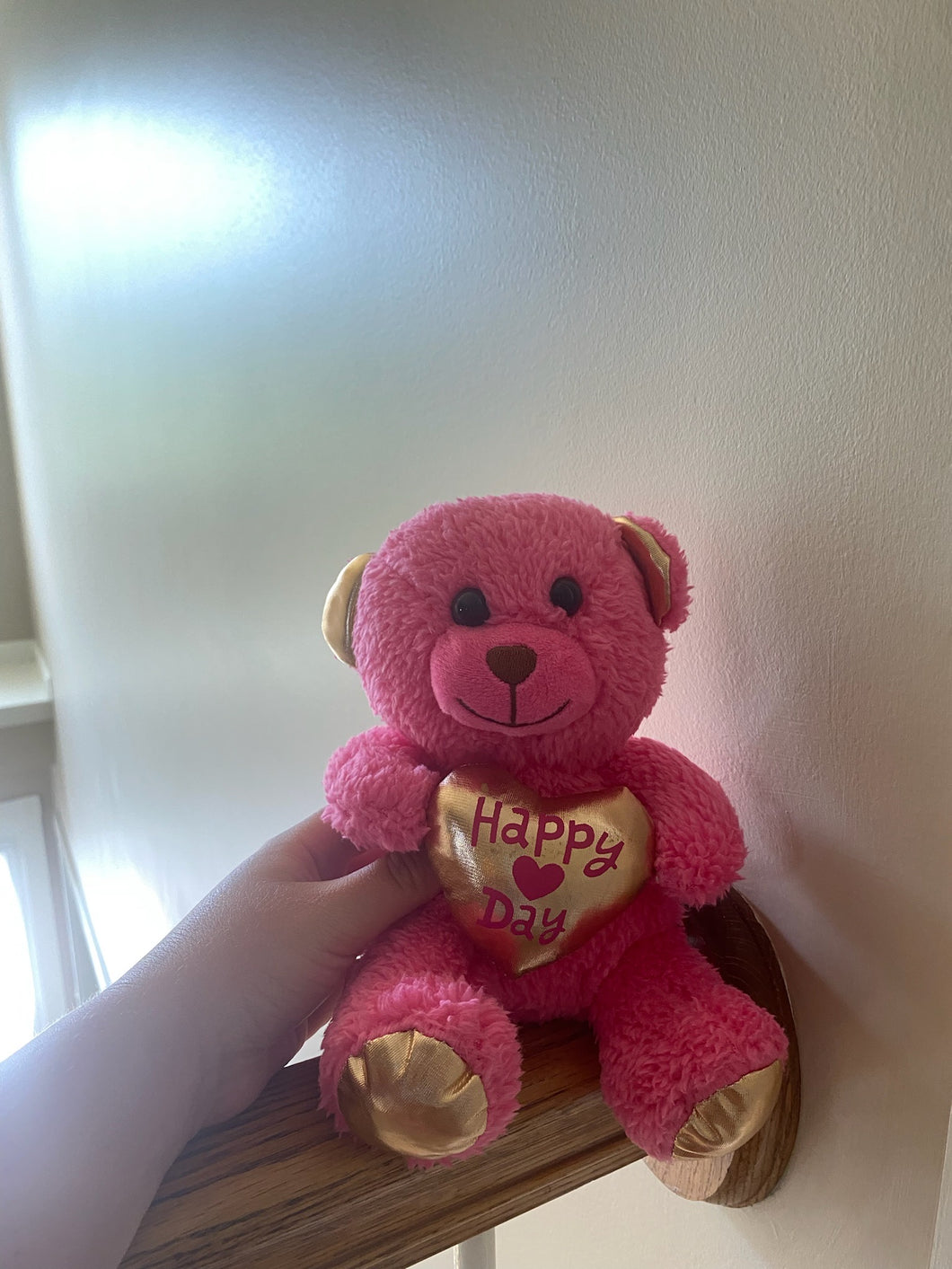 DanDee pink teddy bear Valentine's Day gift