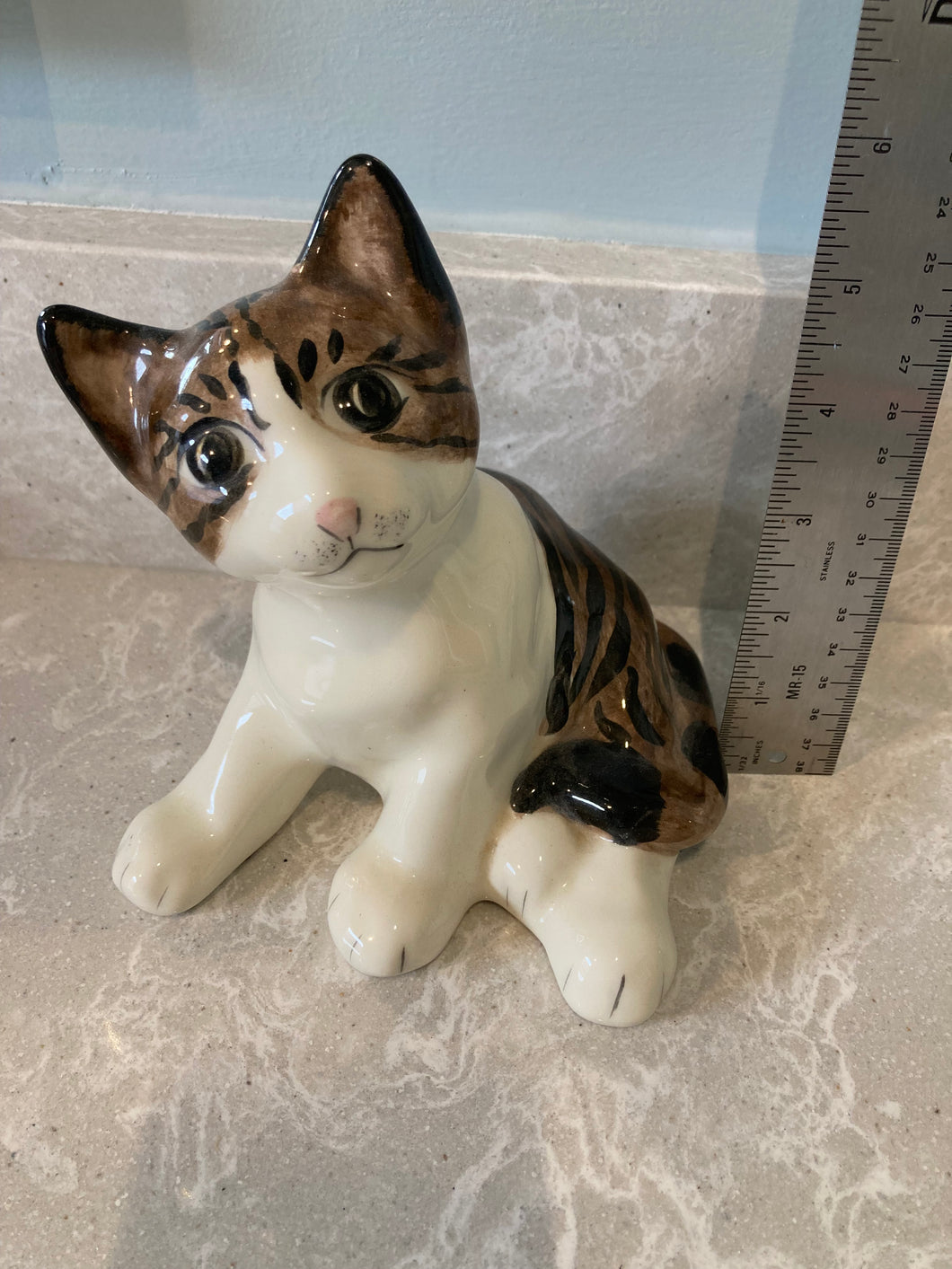 Cat kitten glass adorbs Curious tiger cat