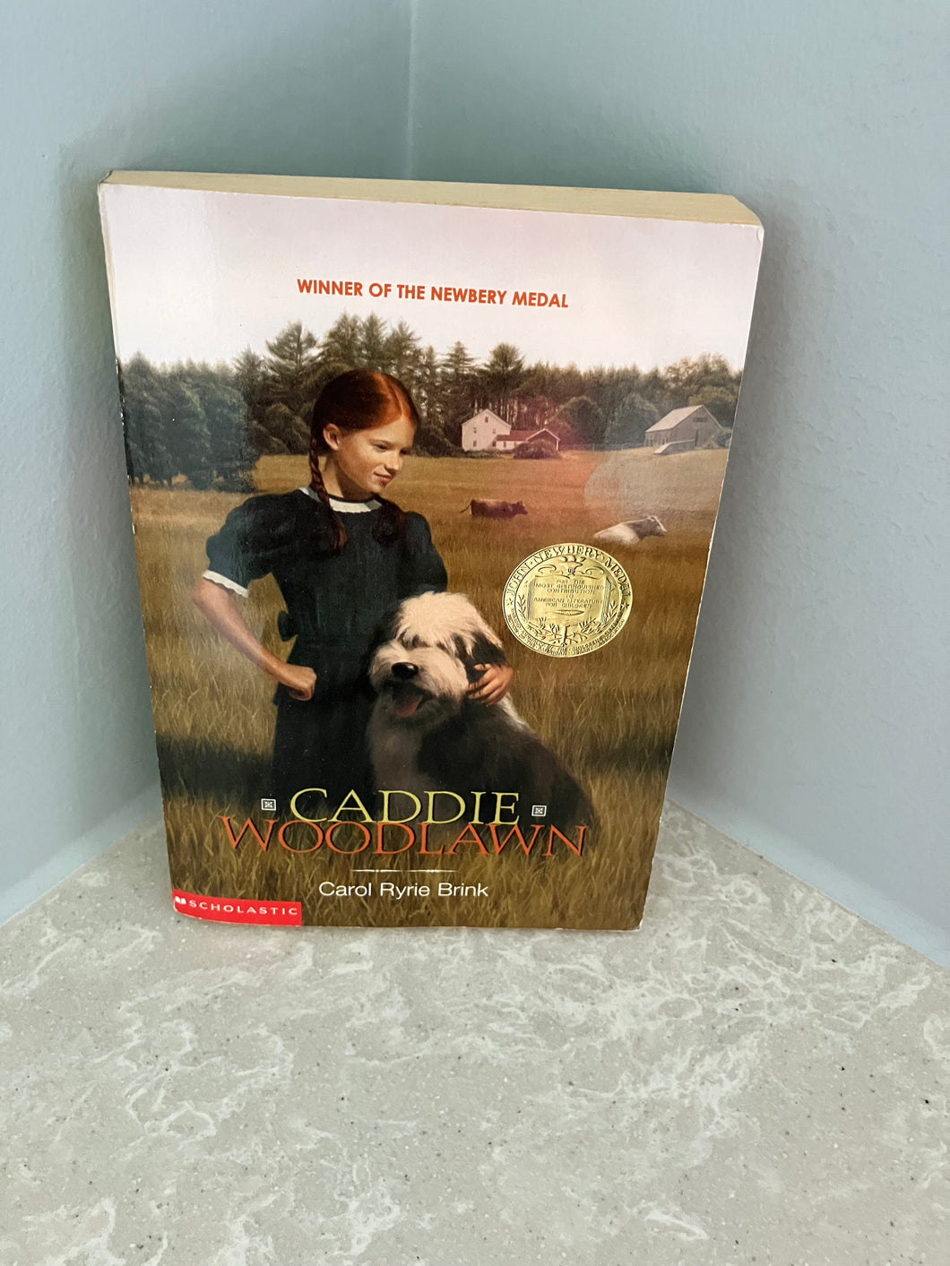 Caddie Woodlawn Scholastic Carol Brink