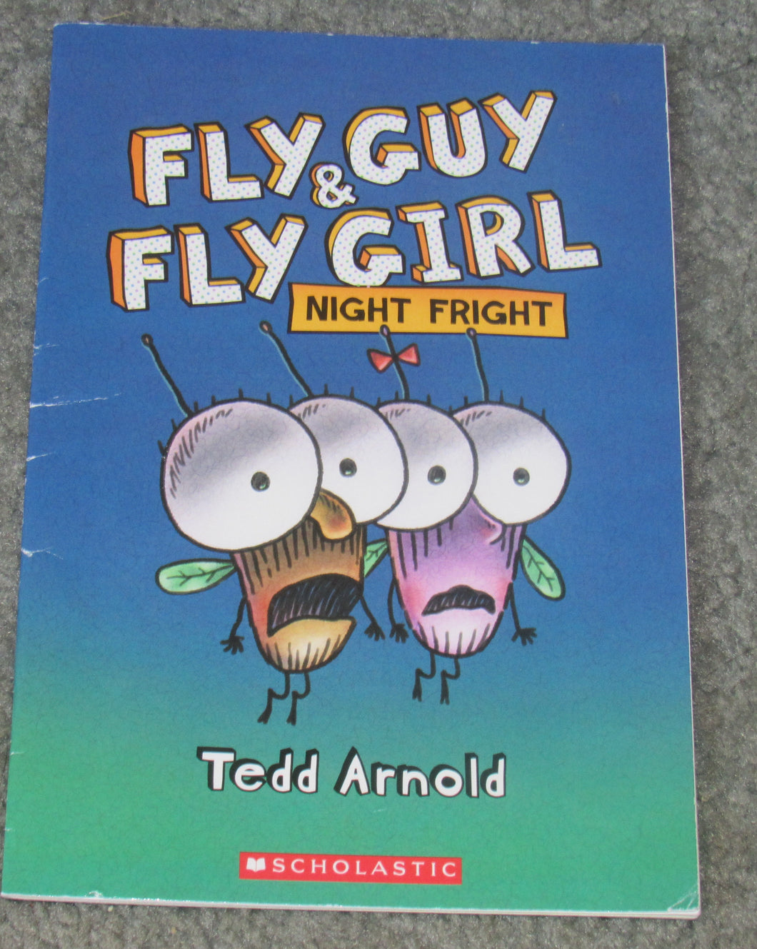 Fly Guy & Fly Girl Scholastic