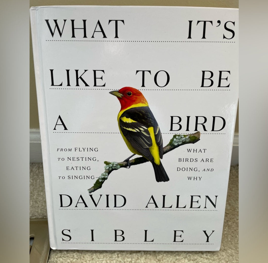 What it is like to be a bird