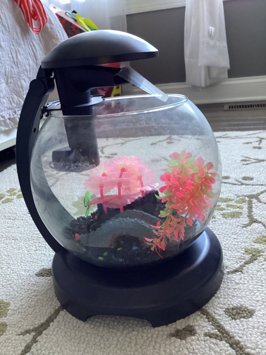 Fish Tank