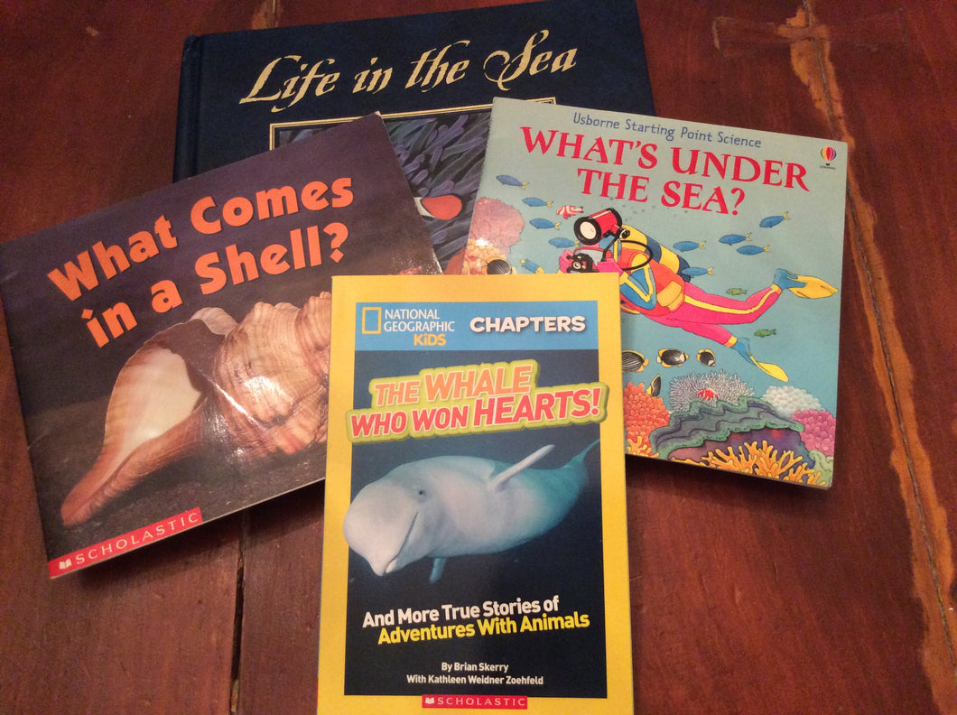4x bk sea themed-Life in What comes shell, NG kid