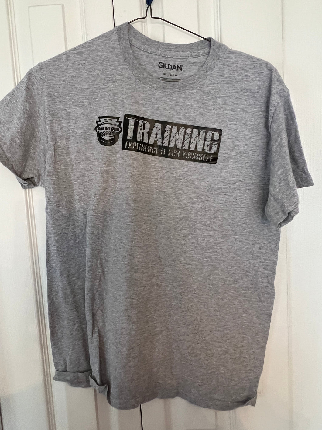 GRAY TSHIRT TRAINING EXPERIENCE - size Mens M