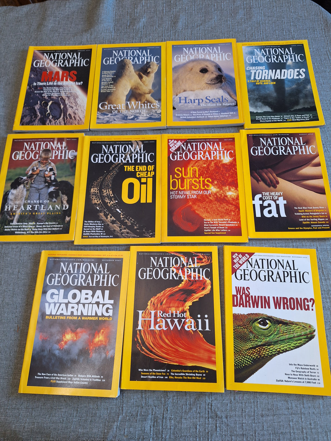 11 NATIONAL GEOGRAPHIC MAGAZINES 2004 SET #19