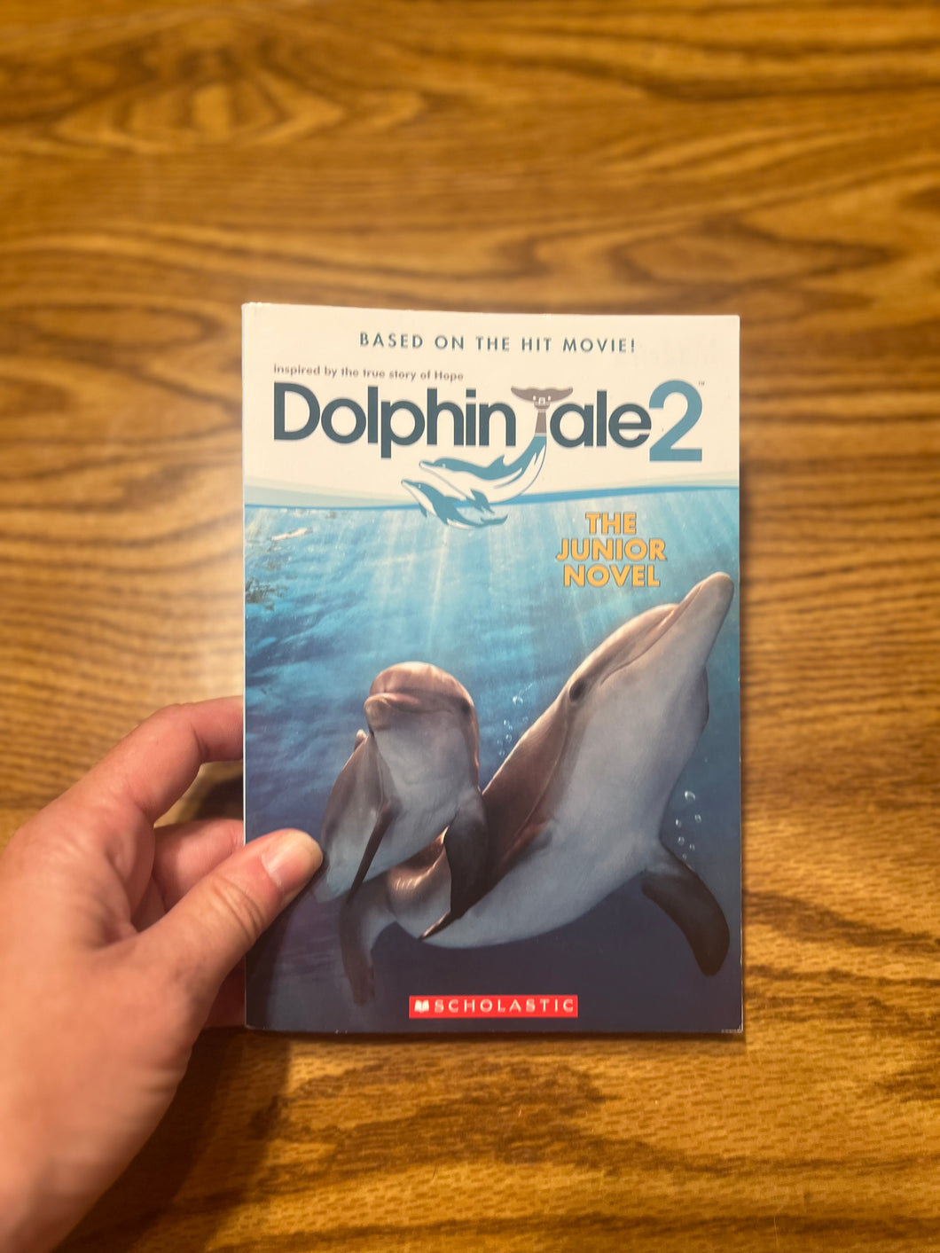 Dolphin Tale 2