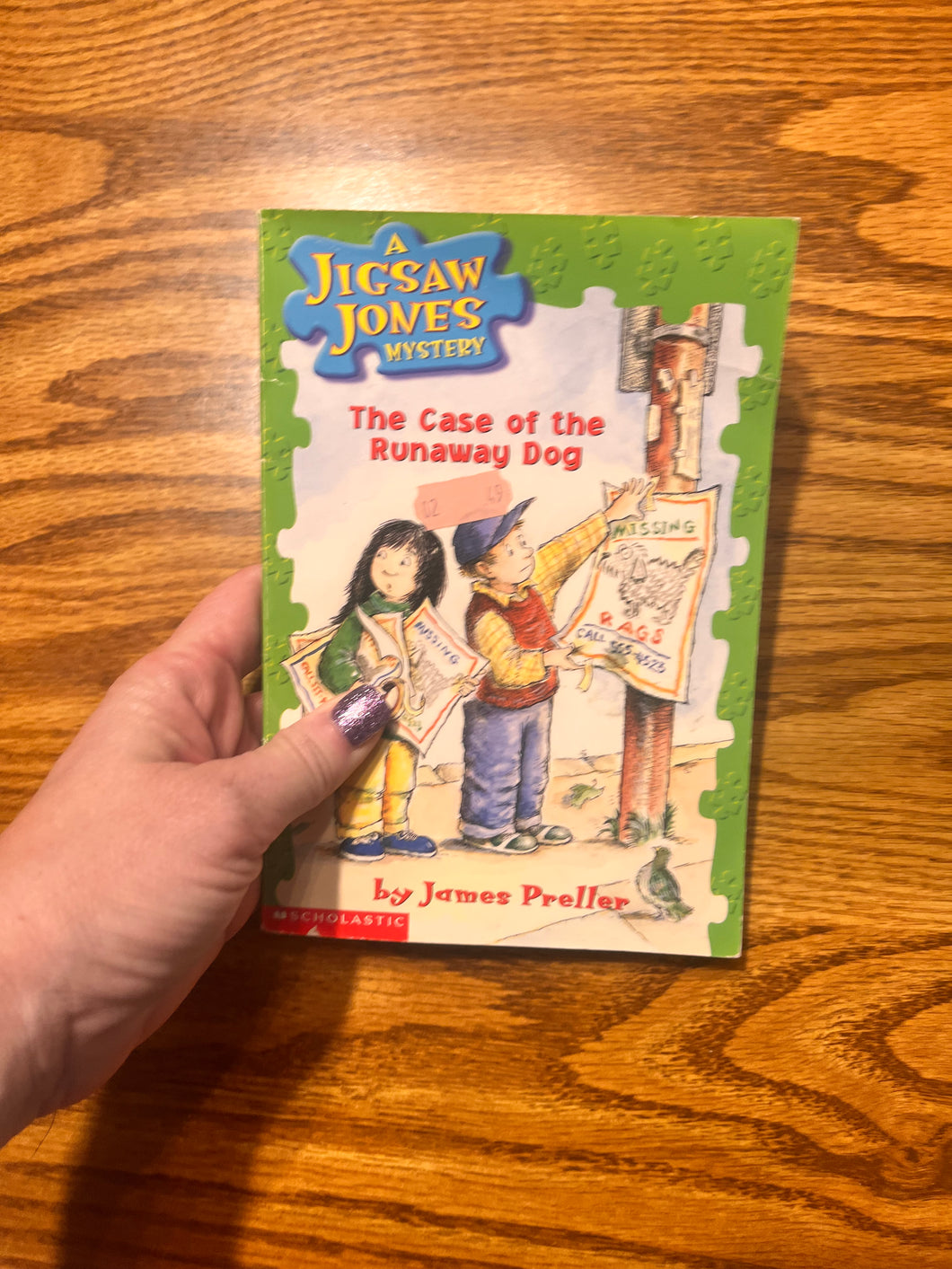 JigSaw Jones Mystery CAse of the Runaway Dog