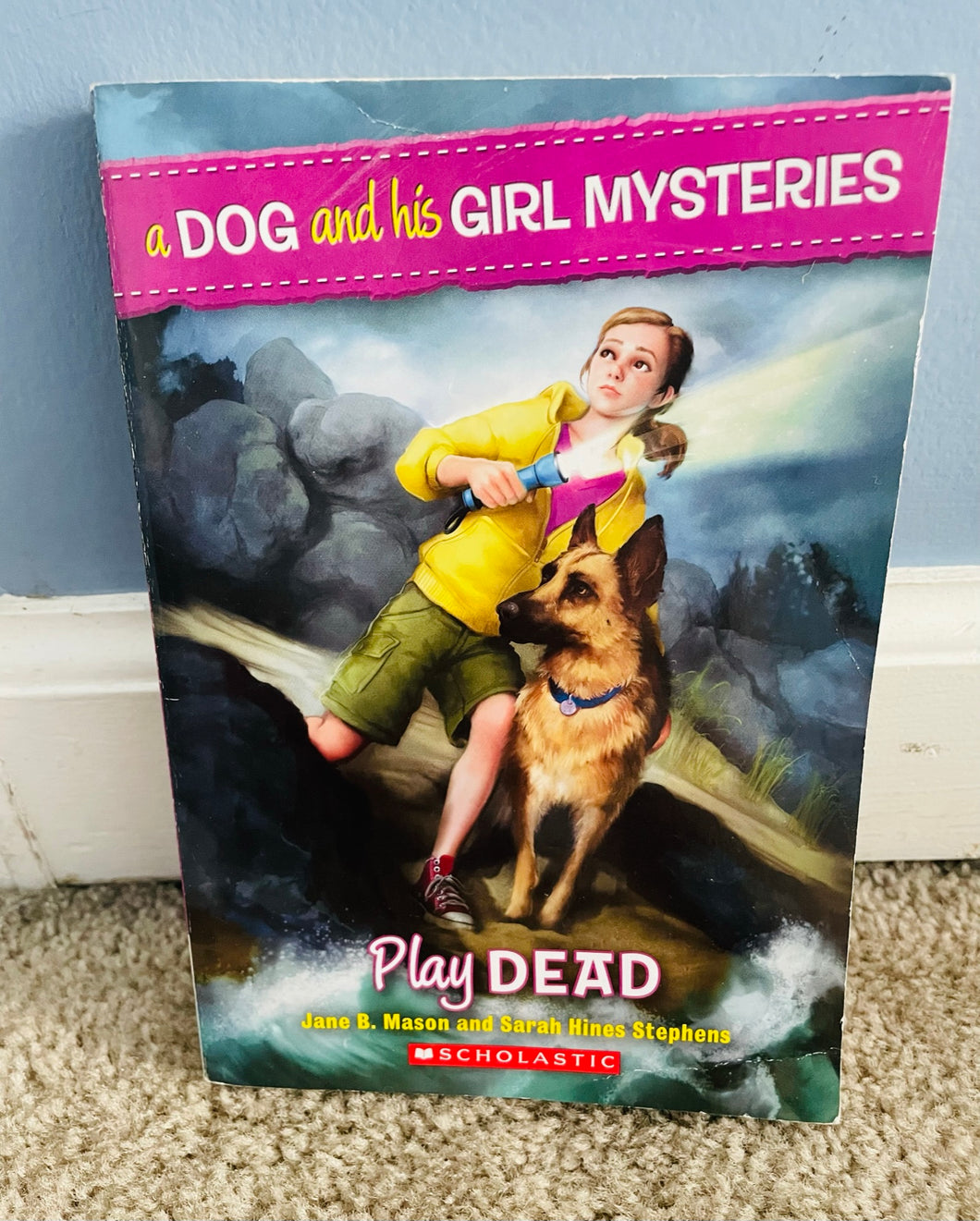 A Girl and his Dog Mysteries