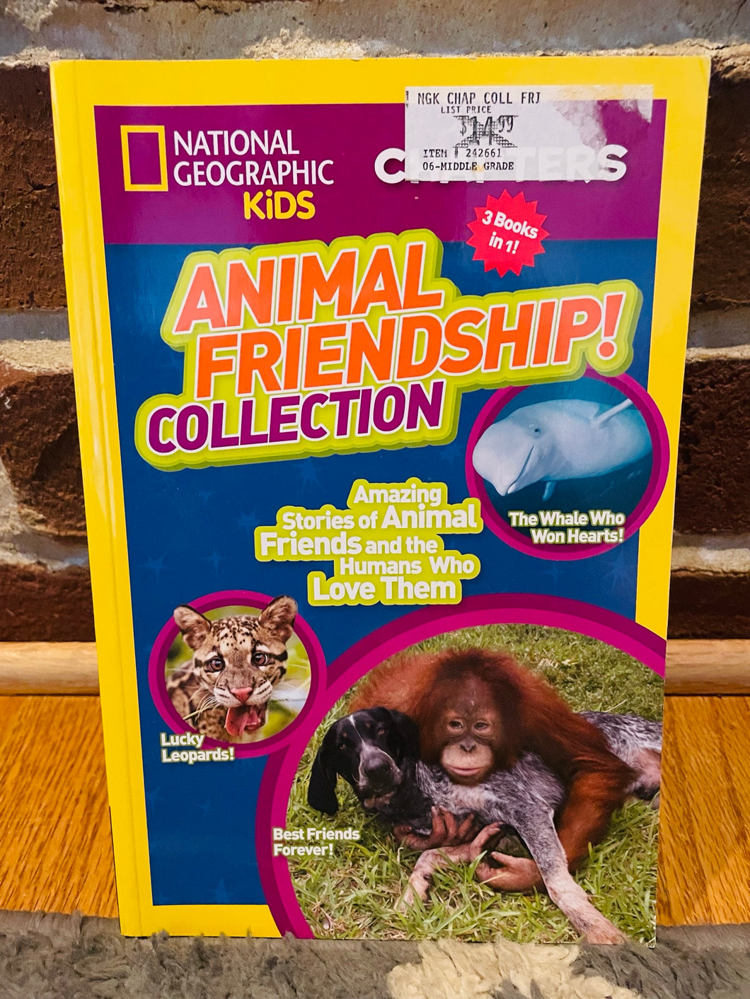Animal Friendship Collection