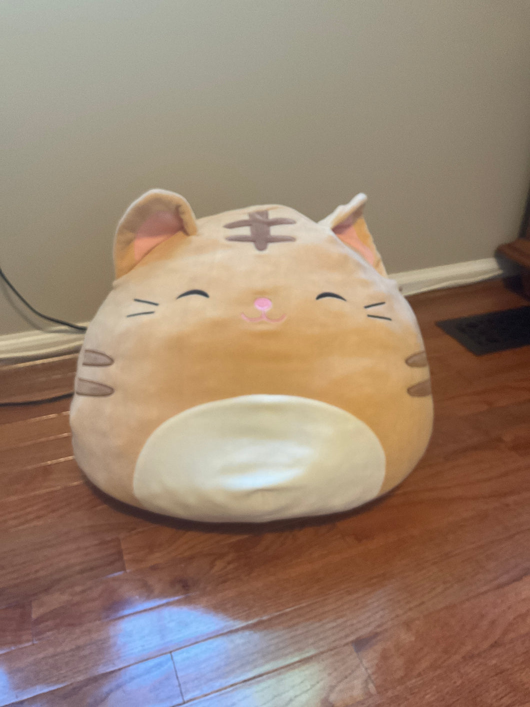 Squishmallow 15 Nathan cat