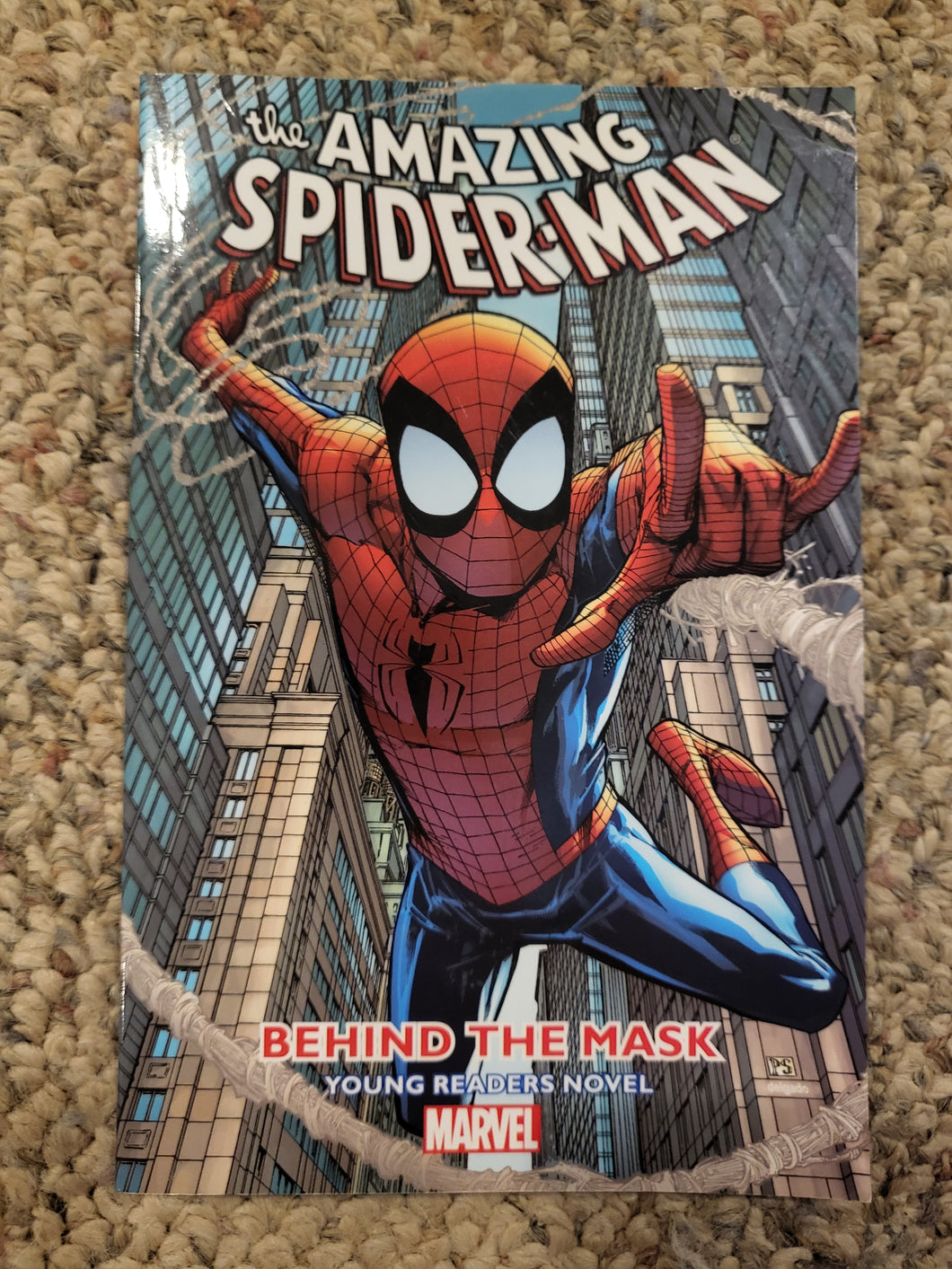 The Amazing Spider-Man Behind the Mask