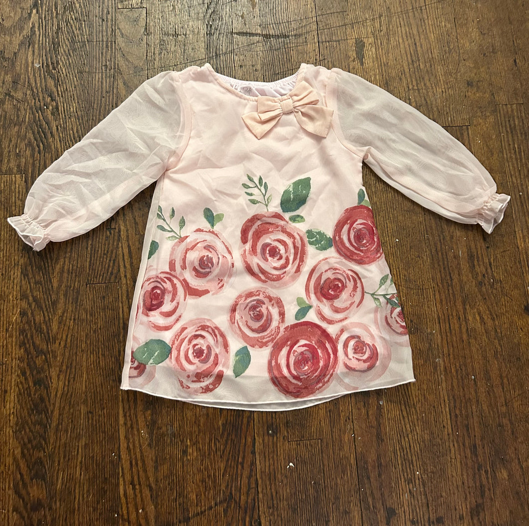 Rene  rose dress - size 18 Months