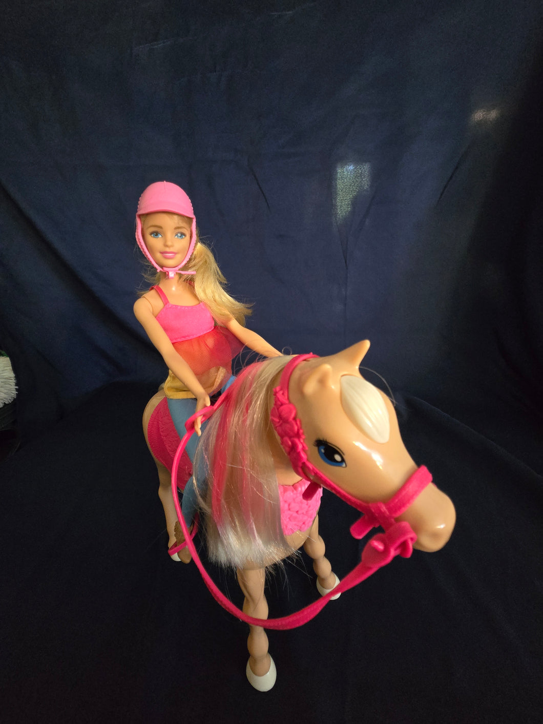 Barbie Doll & Toy Horse Set