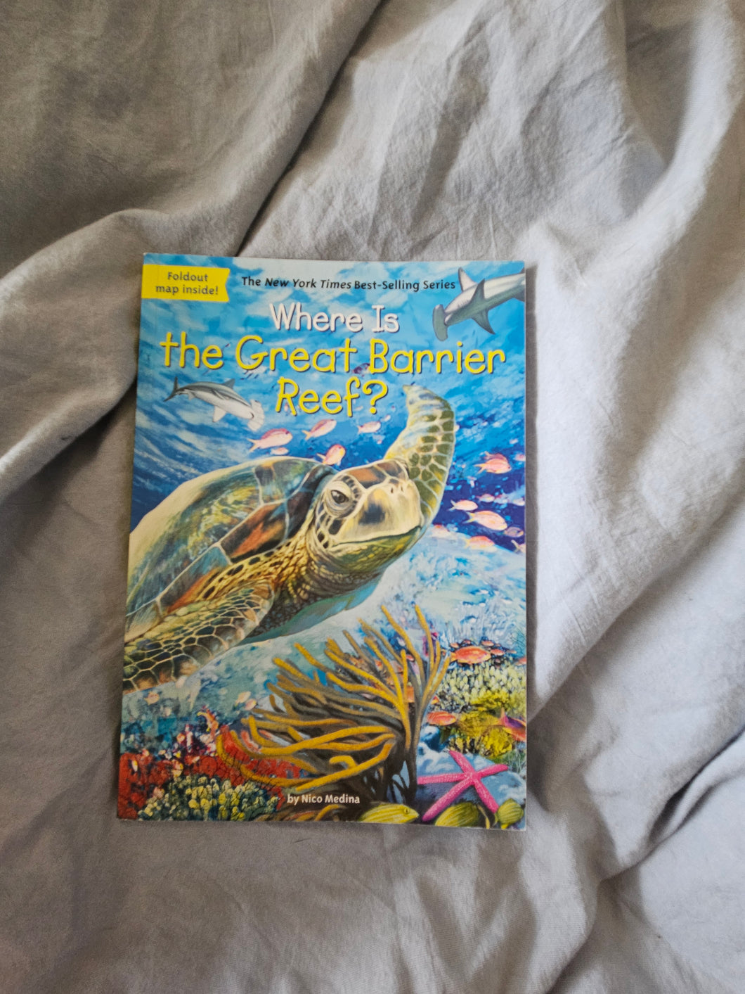 Where Is Great Barrier R