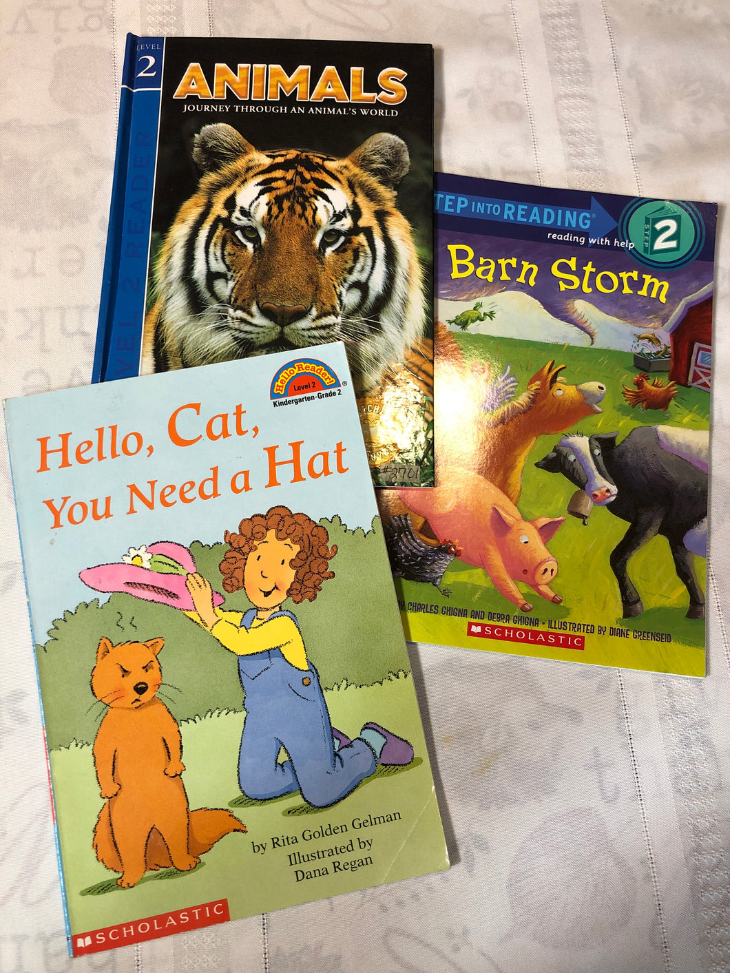 Barn Storm,Cat Need Hat & Animals- 3pk.