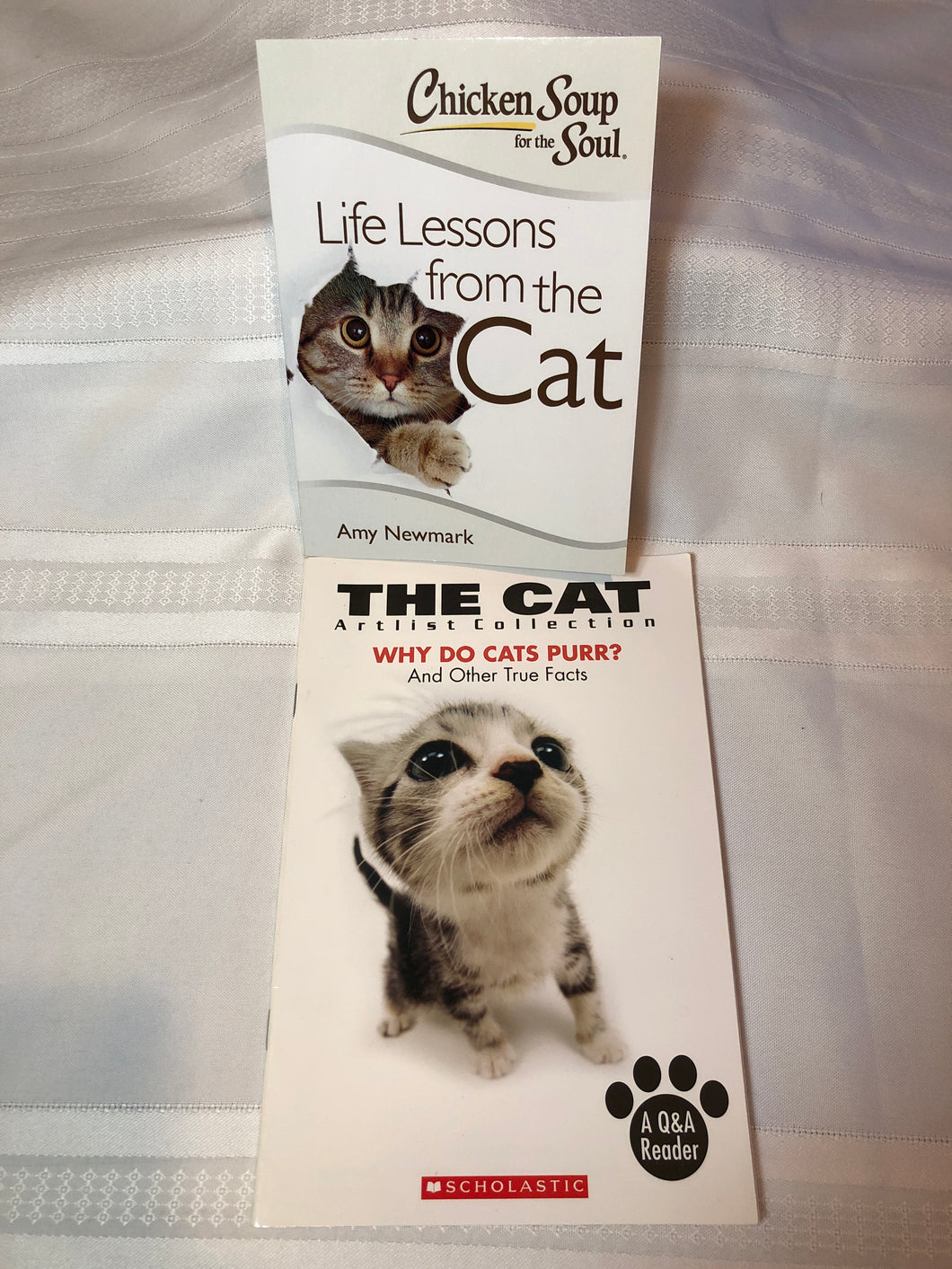 Chicken soup- cat & The Cat- 2 books