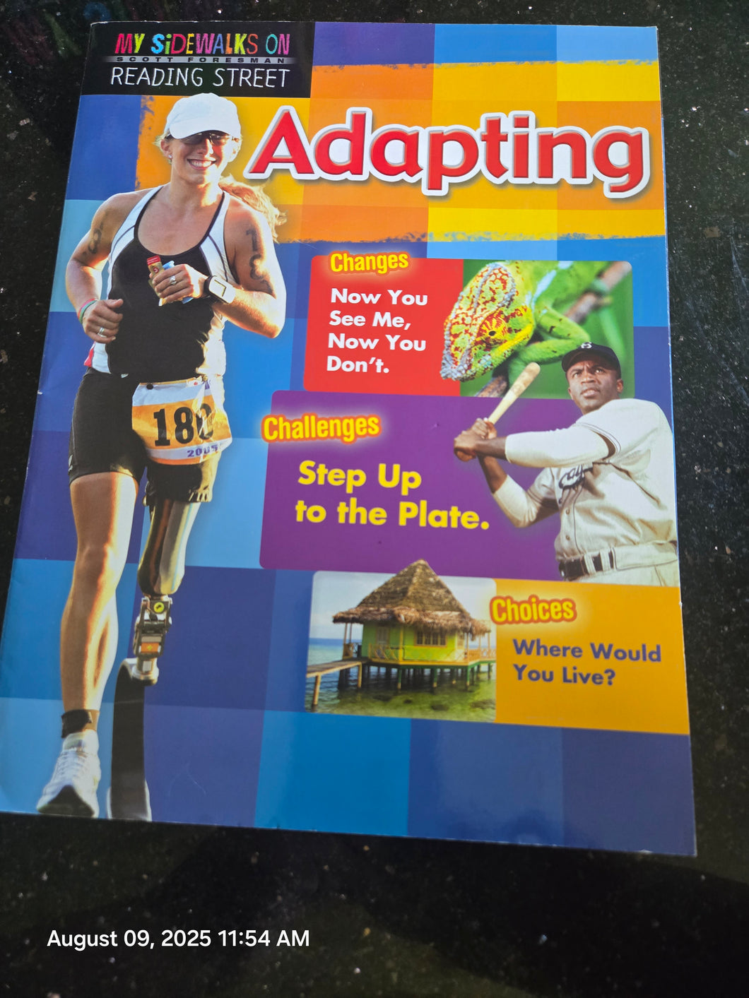 My Sidewalks Reading St 5th Grade Workbook Adapt