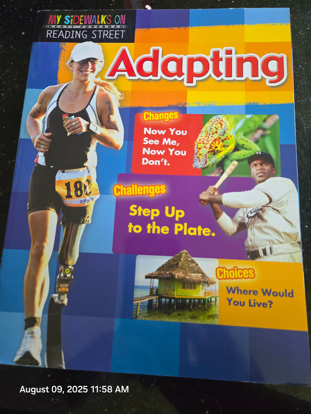 My Sidewalks Reading St 5th Grade Workbook Adapt
