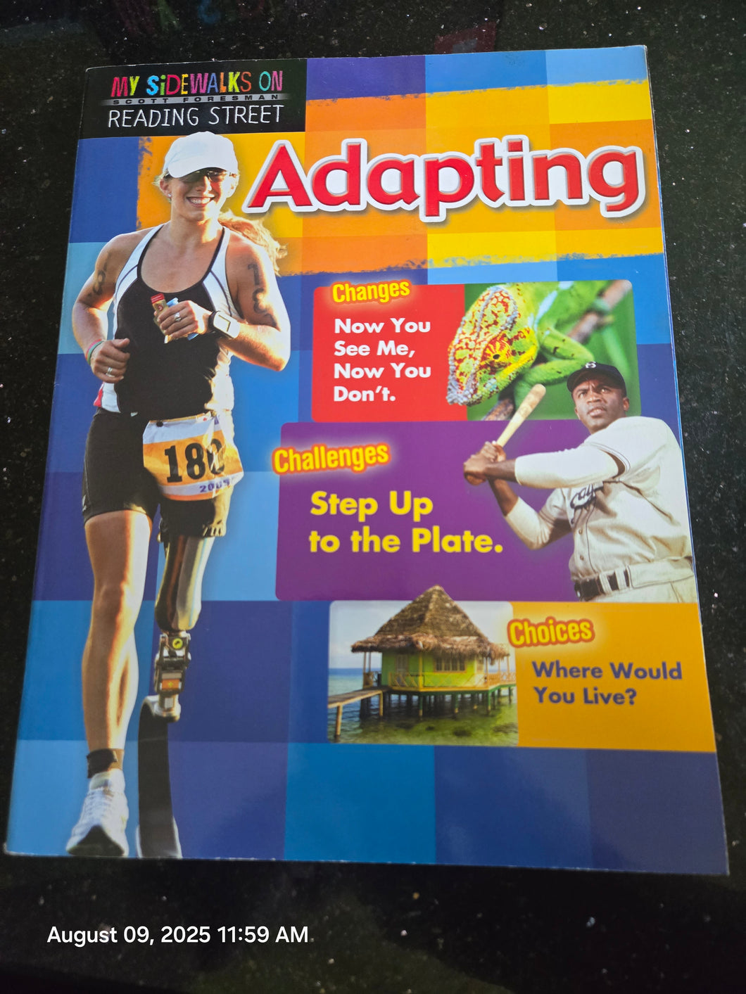 My Sidewalks Reading St 5th Grade Workbook Adapt