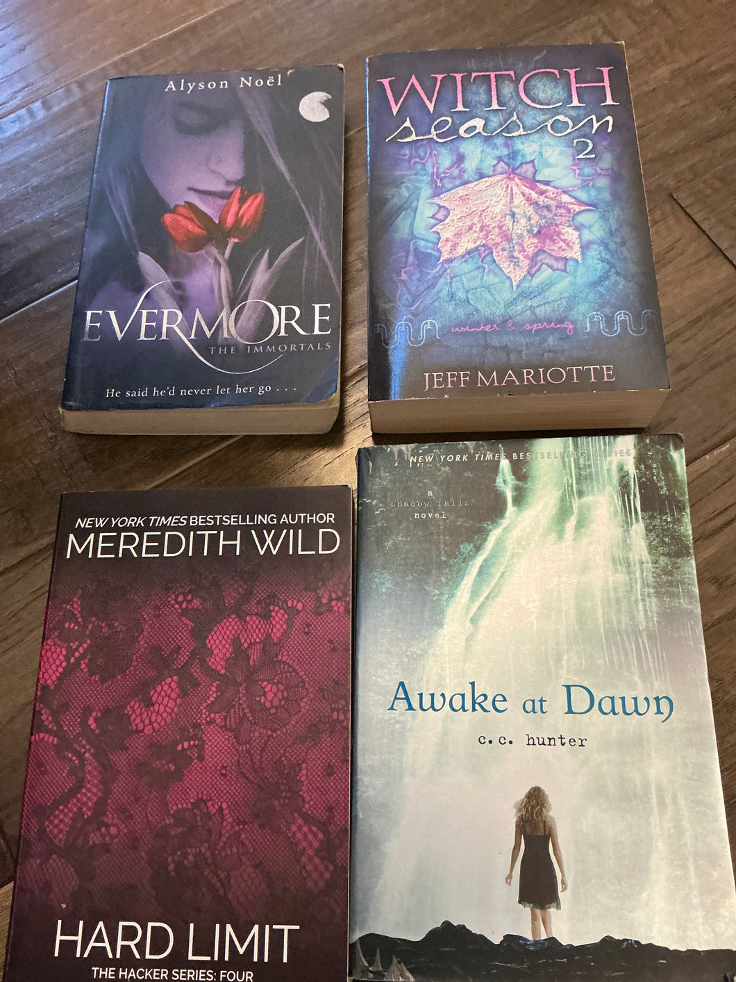 Lot of 4 Young Adult Books