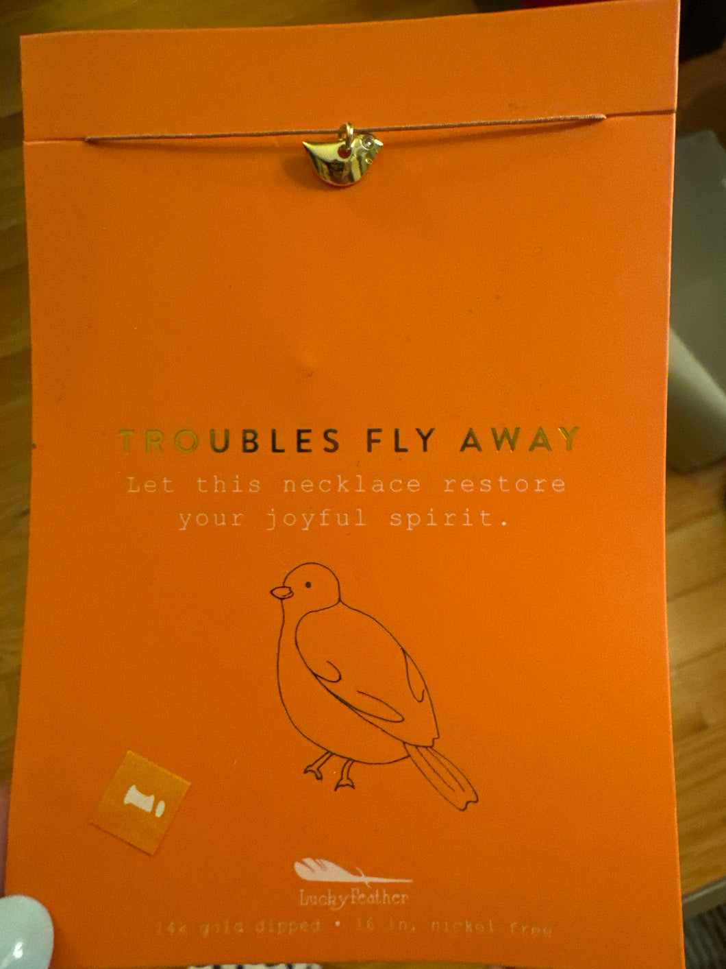 Troubles Fly Away Necklace. New in box
