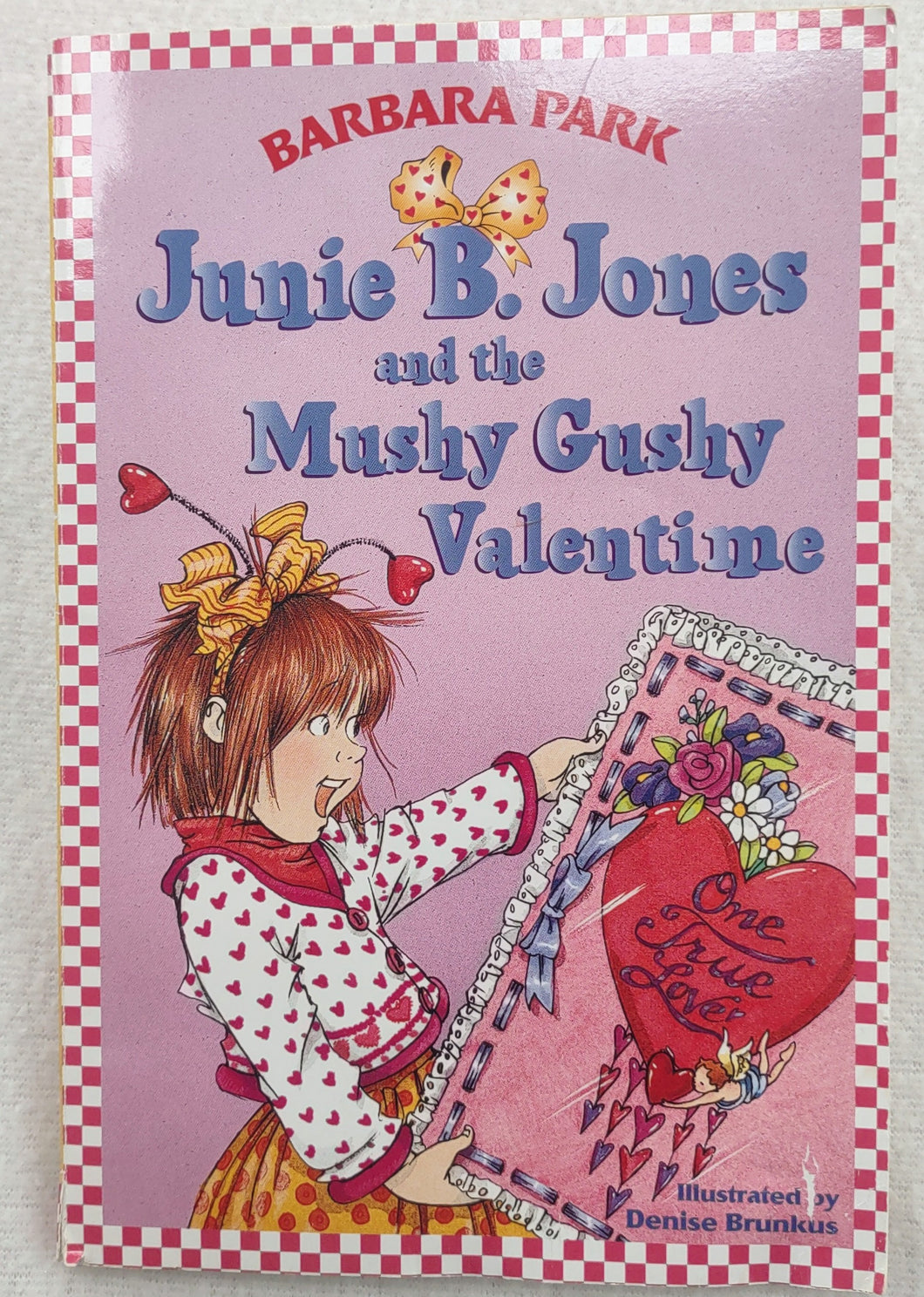 Junie B. Jones #14 Mushy Gushy Valentine