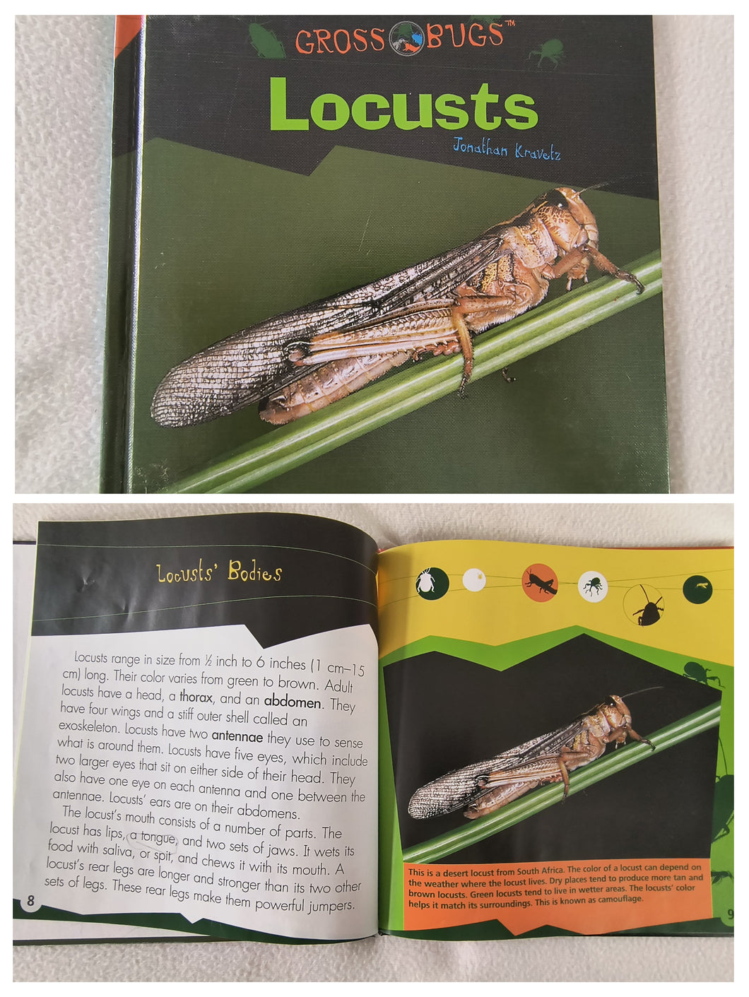 Gross Bugs - Locusts Hardcover book