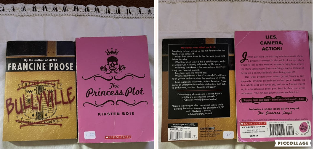 2PaperBacks-Bullyville & ThePrincessPlot