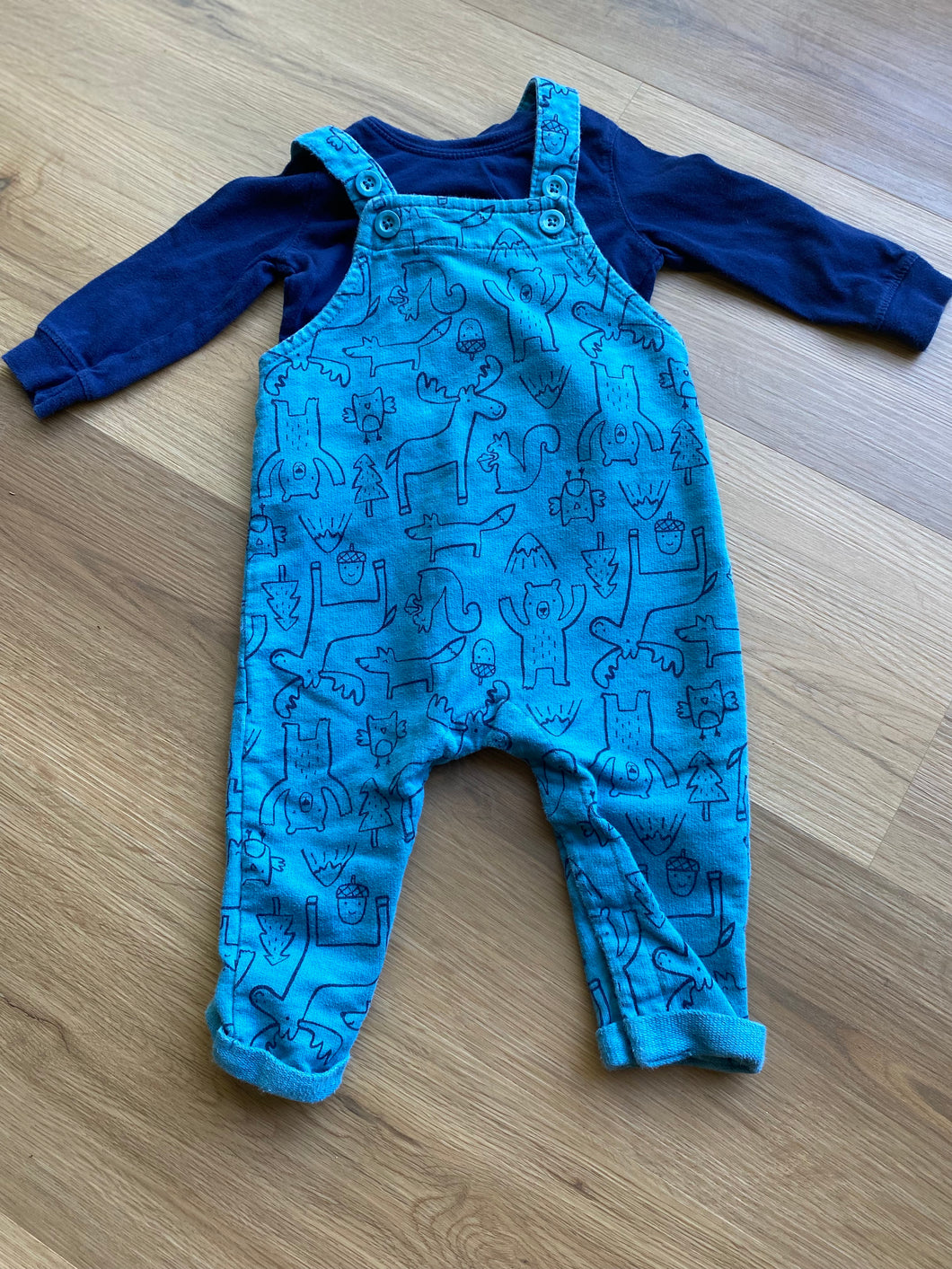 Carter's Overall Outfit - size 9 Months