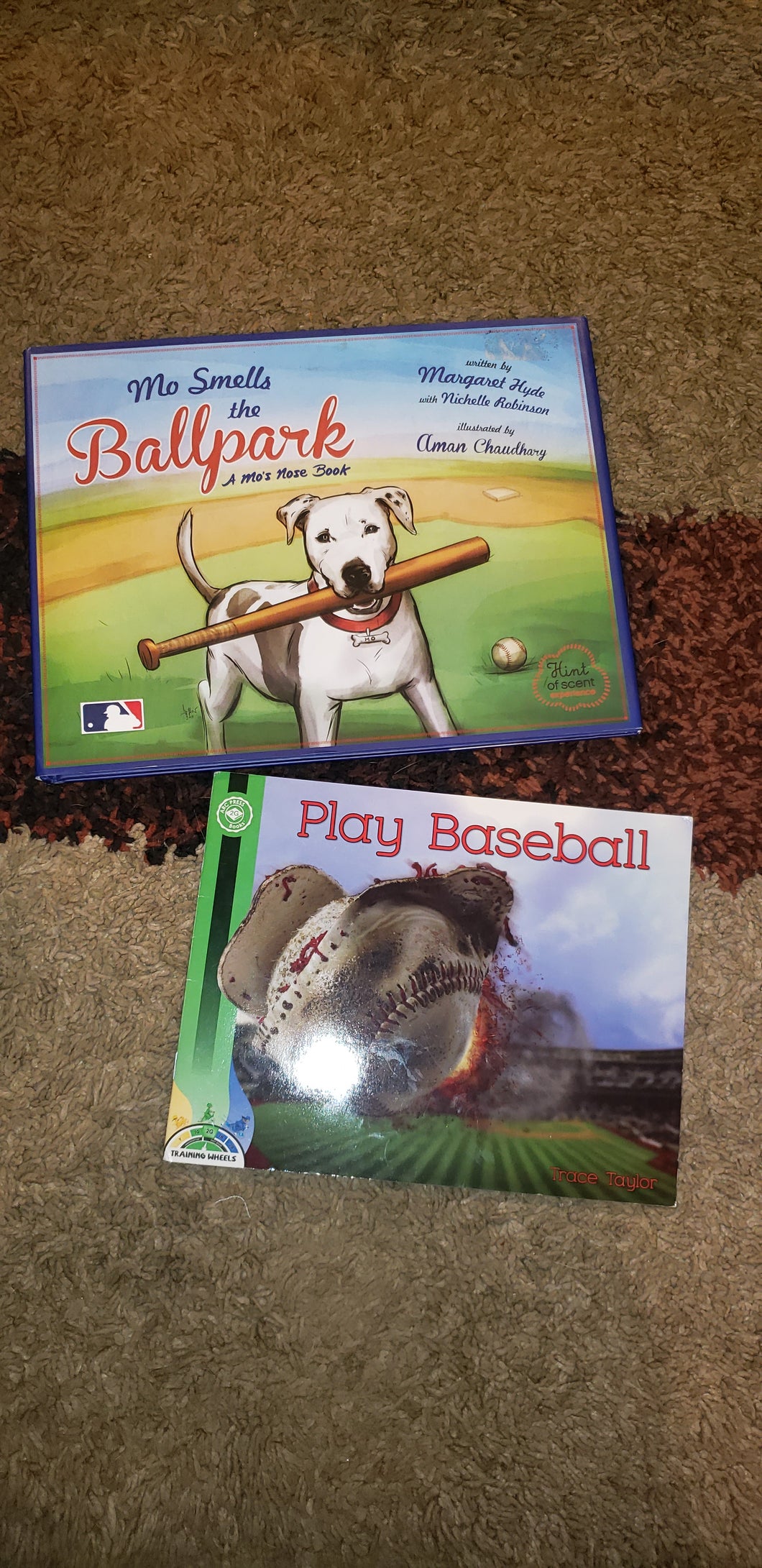 Baseball books Hardcover+paperback