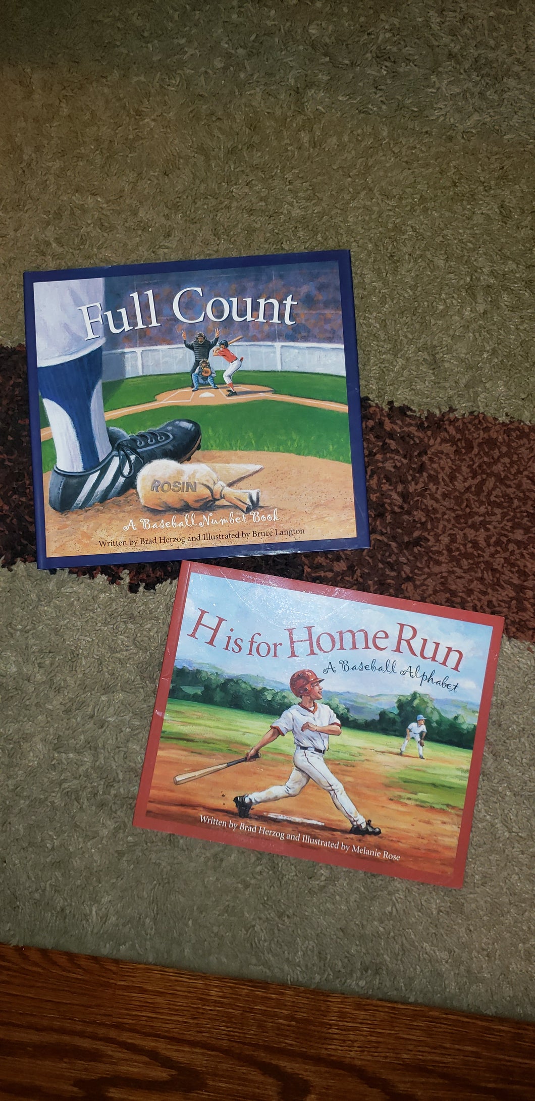 Baseball books Hardcover+paperback