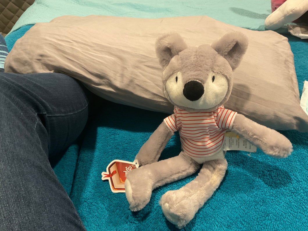 Story time plus Sttufed animal