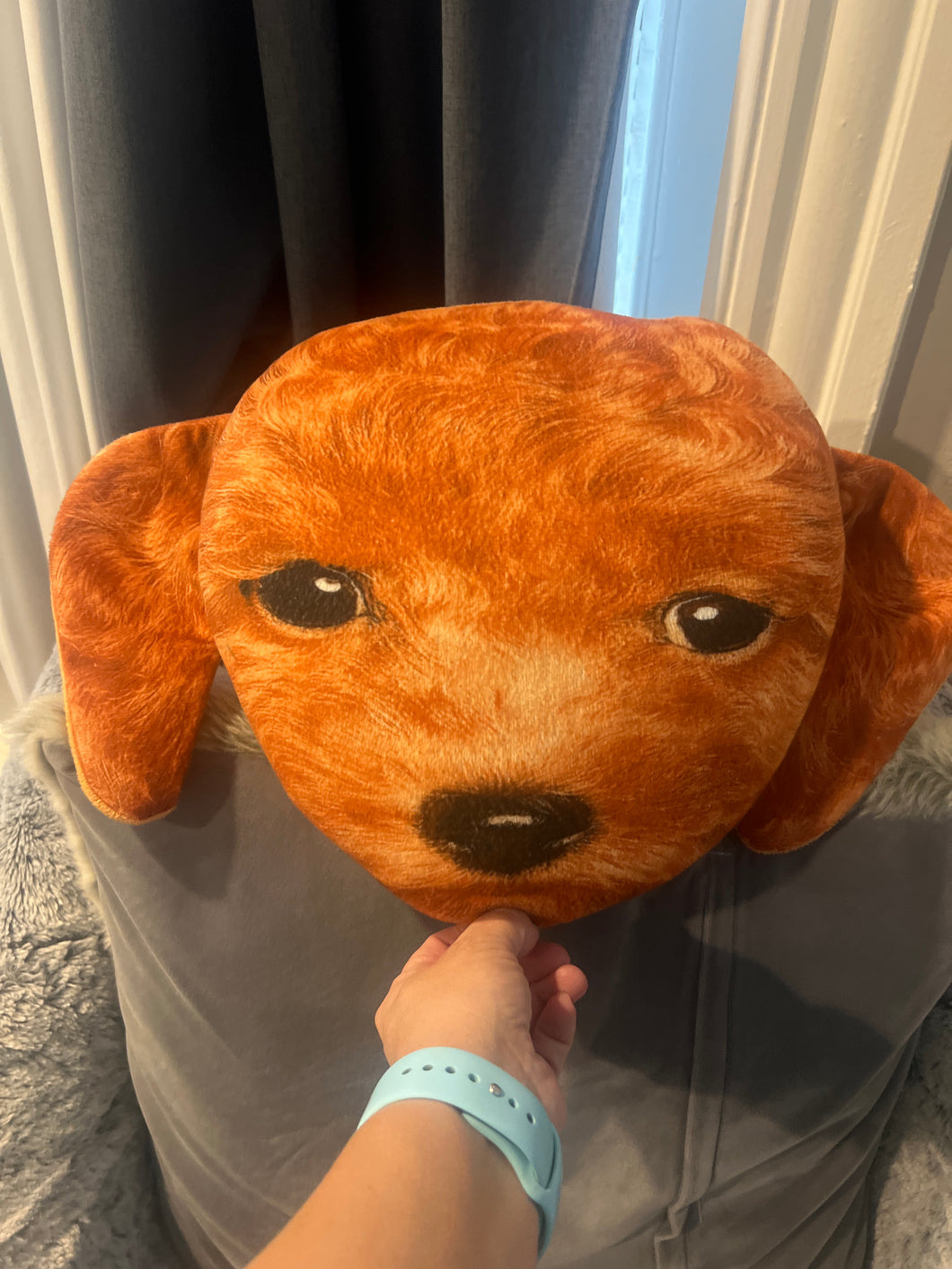 Dog face
