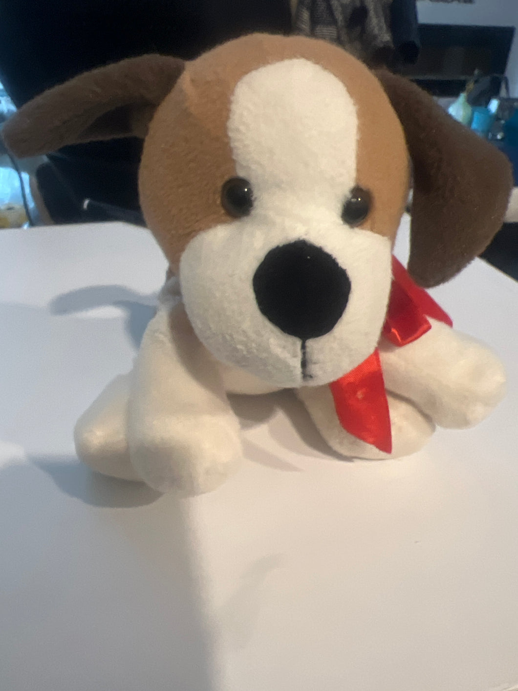 Animal aventure LLC dog Beis and white
