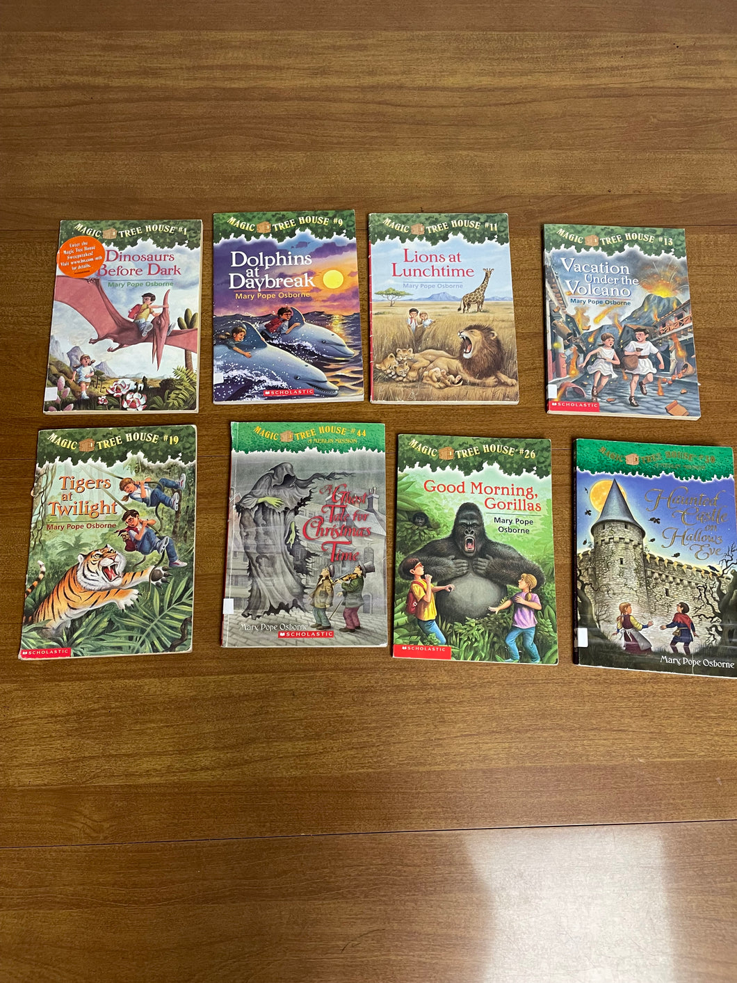 8 Magic Tree House books