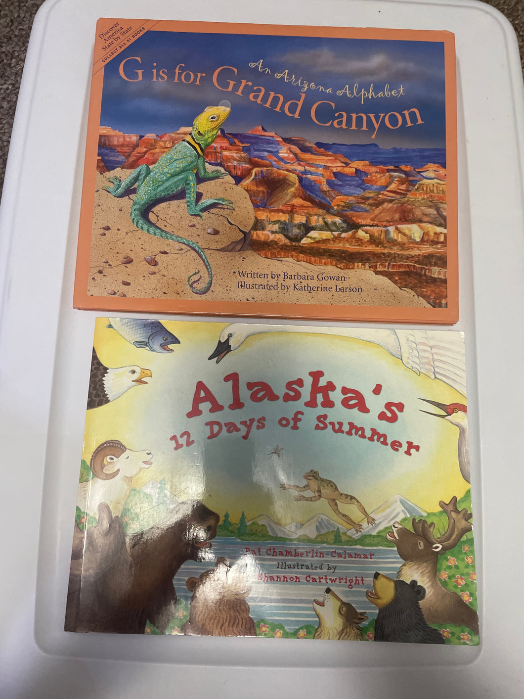 G is for Grand Canyon Alaska 12 days