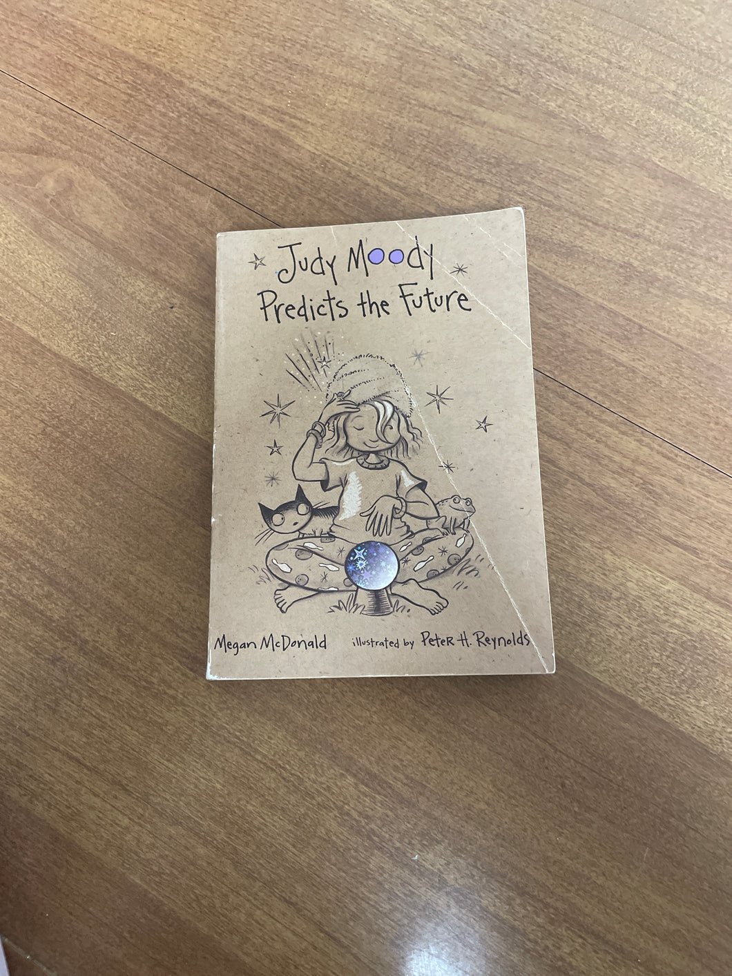 Judy Moody Predicts The Furure