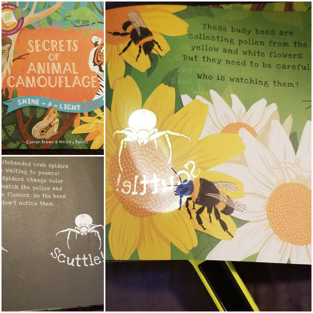 Shine a light book Animal Camoflage