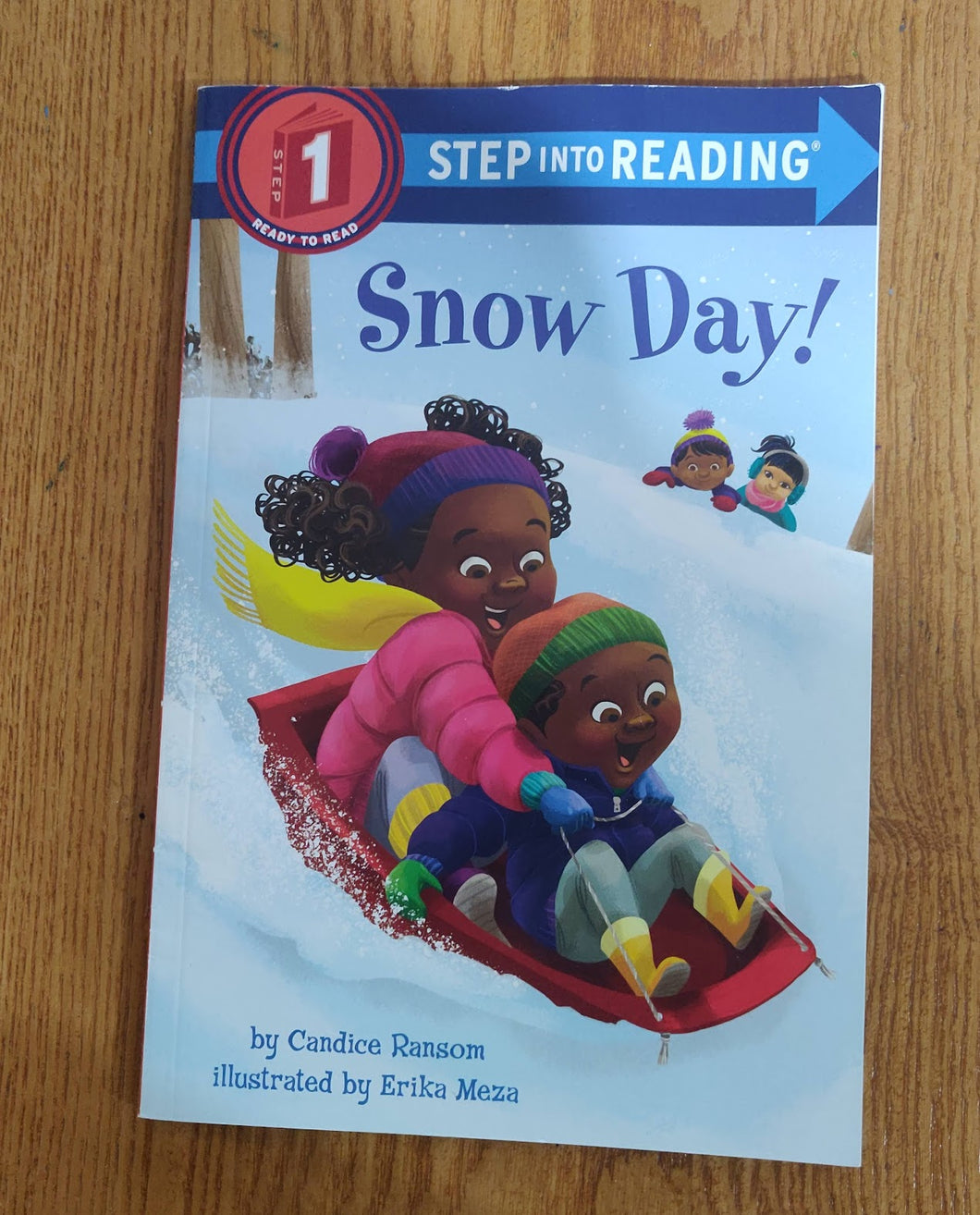 Random House Like New! Snow Day!