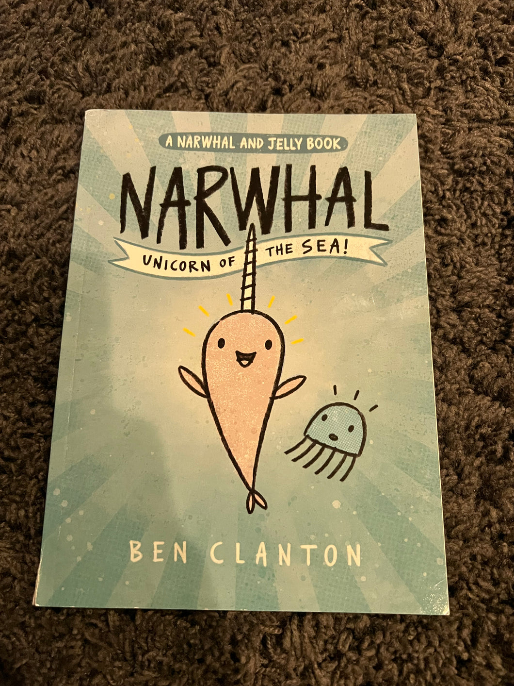 Narwhal Unicorn of the Sea Paperback