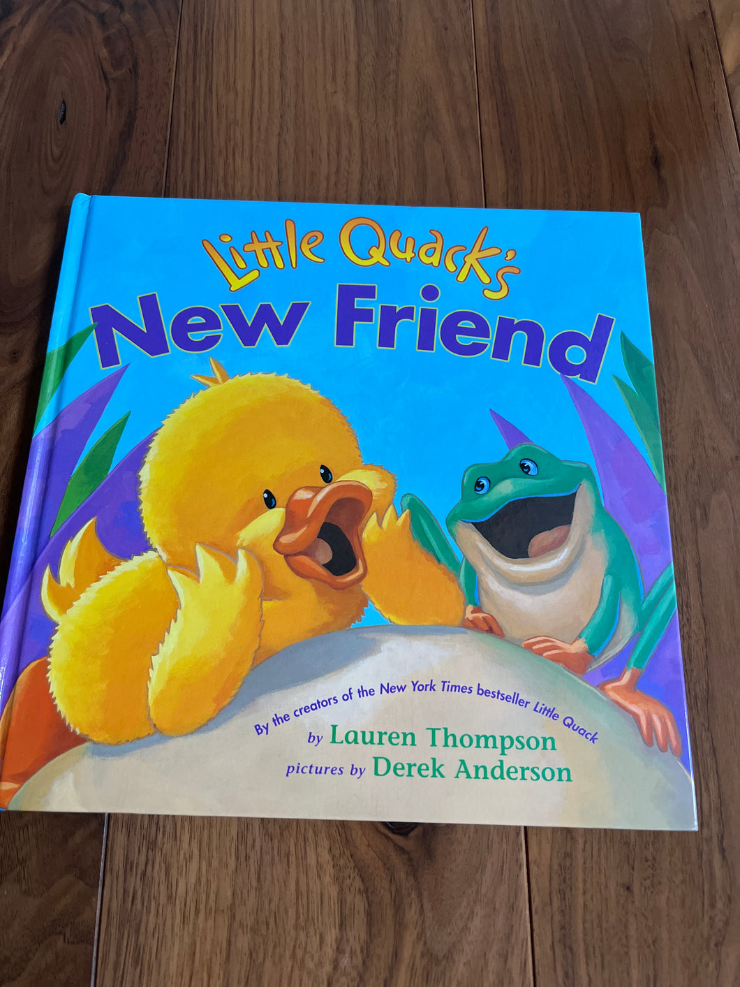 Lille Quack's New Friend Hardcover Book