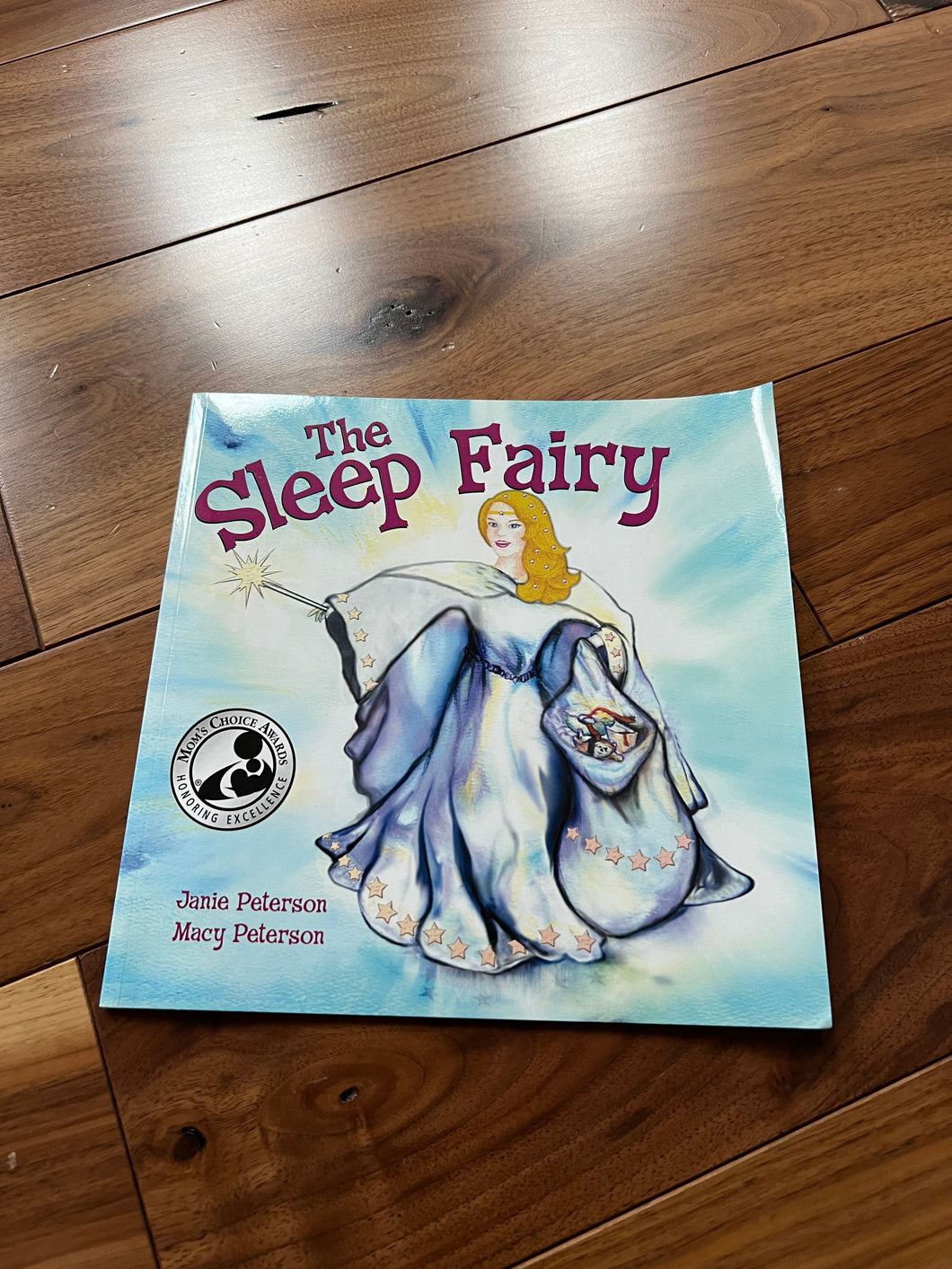 The Sleep Fairy Paperback Book