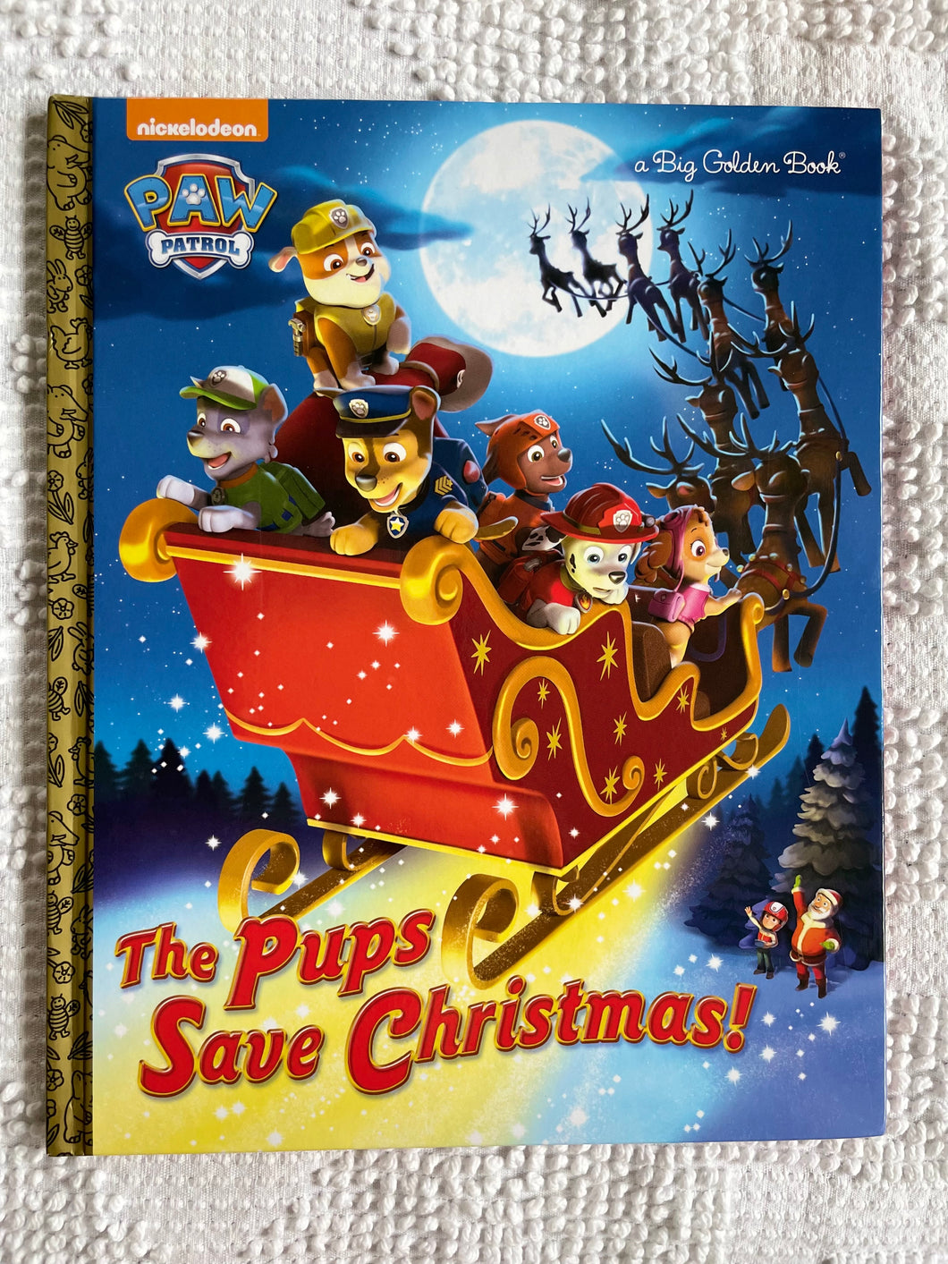 Nickelodeon Paw Patrol Pups save Christmas