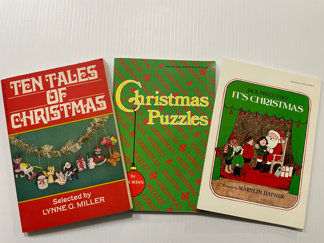 3 Christmas Books 2 books, 1 puzzle book